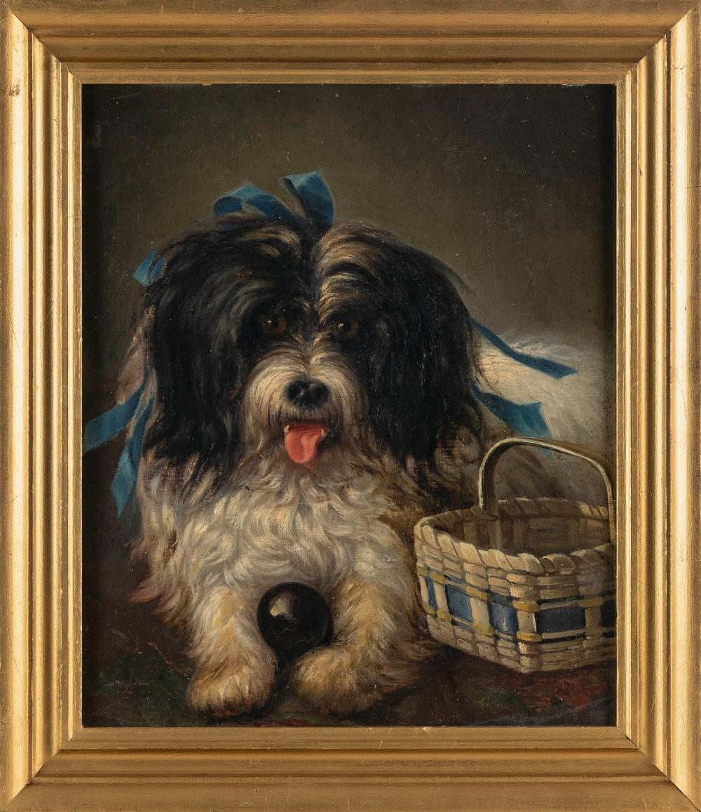 PORTRAIT OF A DOG WITH A BALL