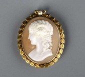 PORTRAIT SHELL CAMEO BROOCHA g