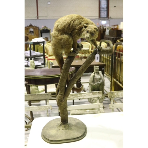 Possum on a branch figure,
