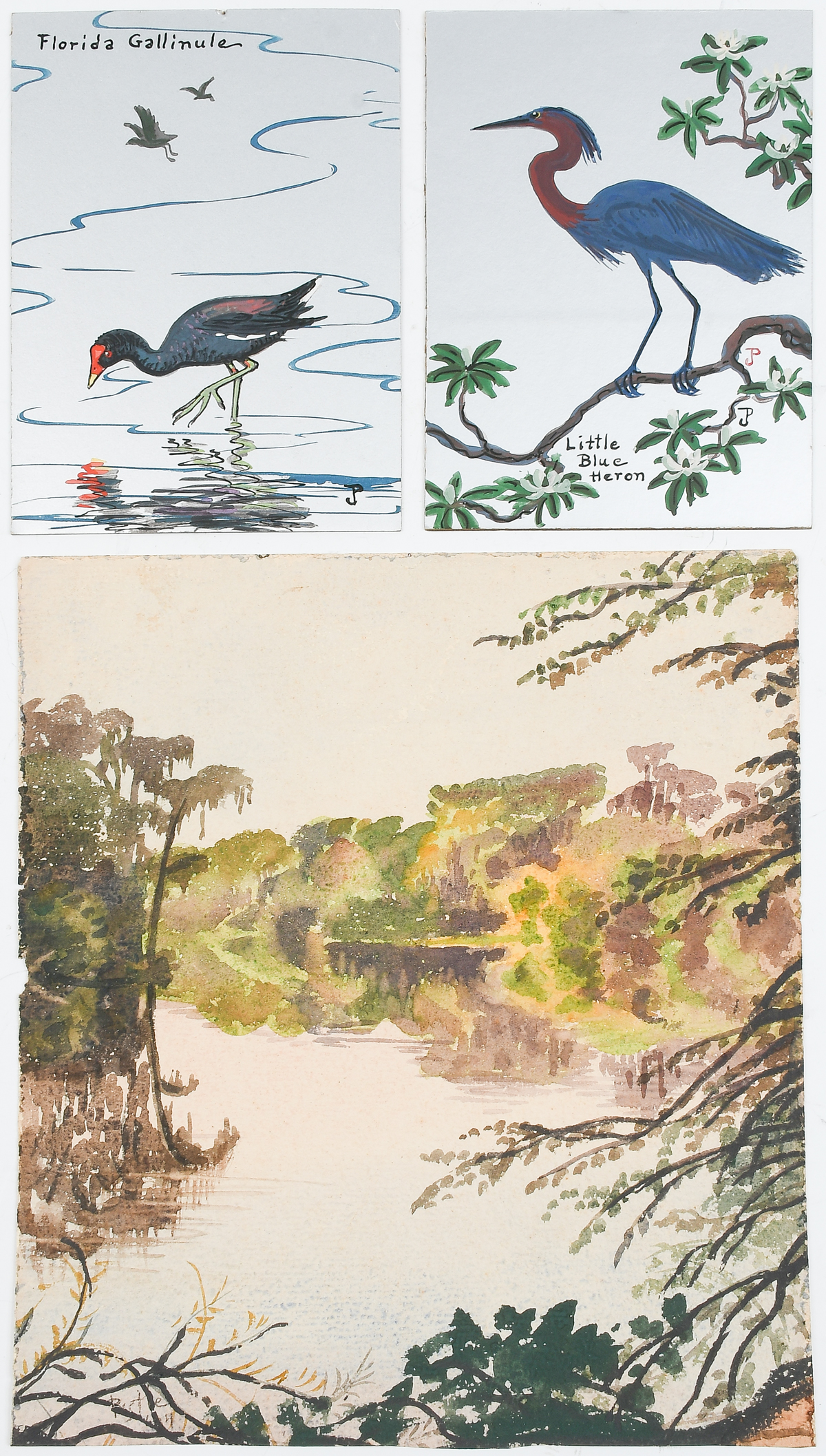 POSTLE, Joy, (American, 1896-1989):
