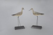 "POVERTY ISLAND" YELLOWLEGS PA