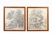 PR., AFTER J.G. STRUTT, TREE P