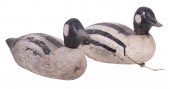 PR ANTIQUE BUFFLEHEAD WORKING