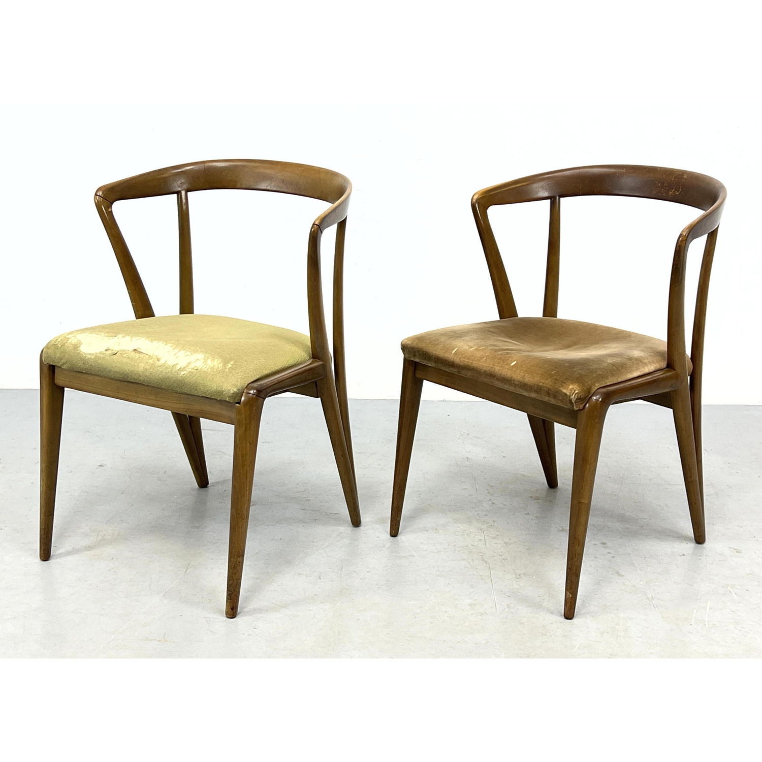 Pr BERTHA SCHAEFFER Open Frame