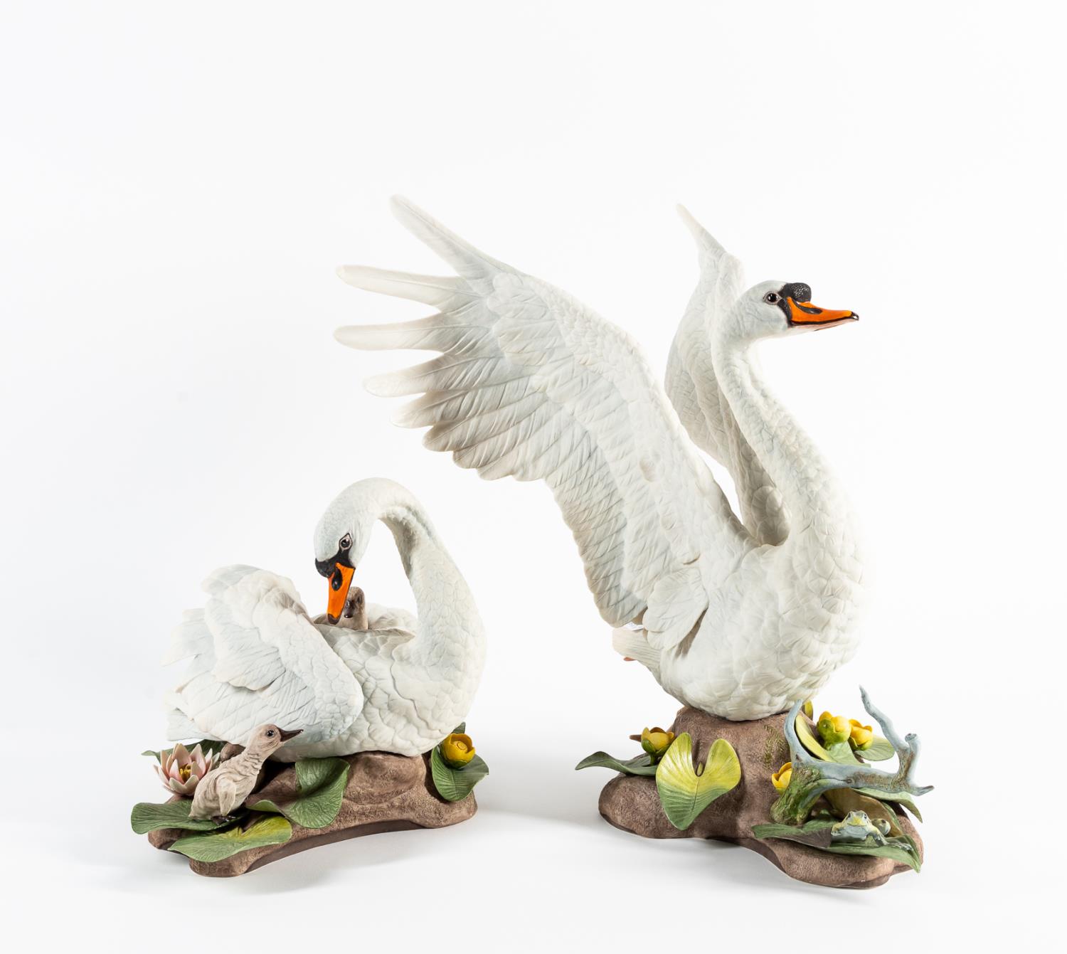 PR., BOEHM "MUTE SWAN" LIMITED