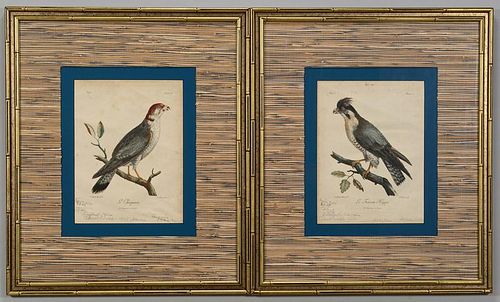 PR C. FESSARD BIRD ENGRAVINGSPair
