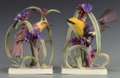PR DOROTHY DOUGHTY BIRDS, YELL