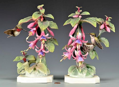 PR. DOROTHY DOUGHTY RUBY THROATED