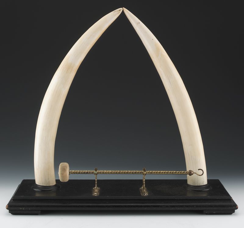 Pr. Elephant tusks set as a