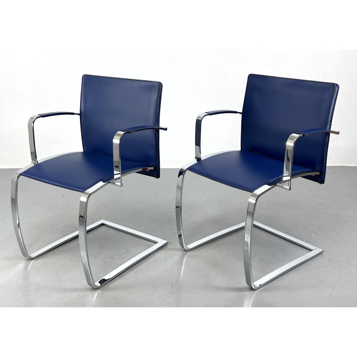 Pr ENRICO PELLIZZONI Cobalt Blue