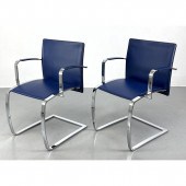 Pr ENRICO PELLIZZONI Cobalt Bl