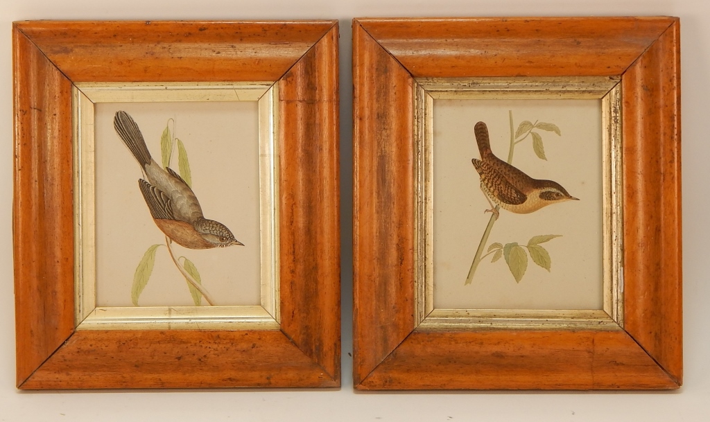PR FRANCIS O MORRIS NATURALIST