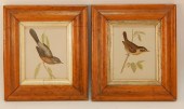 PR FRANCIS O MORRIS NATURALIST