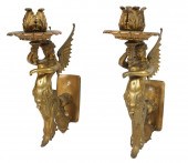 PR. FRENCH BRONZE WINGED MYTHI