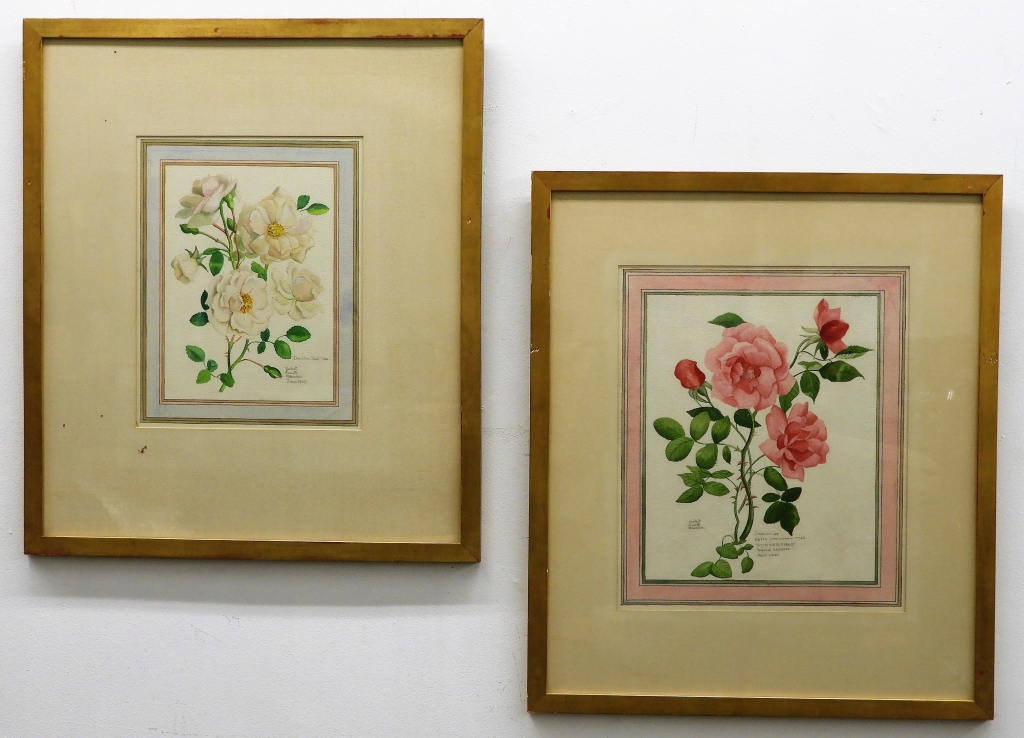 PR HERBERT MARSDEN BOTANICAL