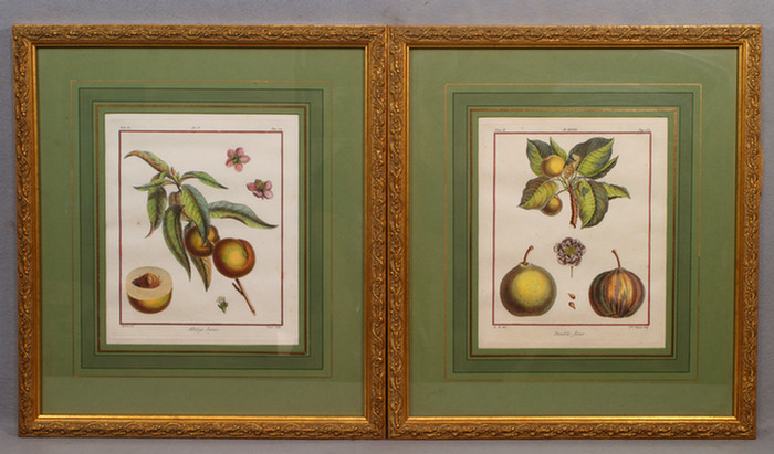 Pr of 17th century style fruit