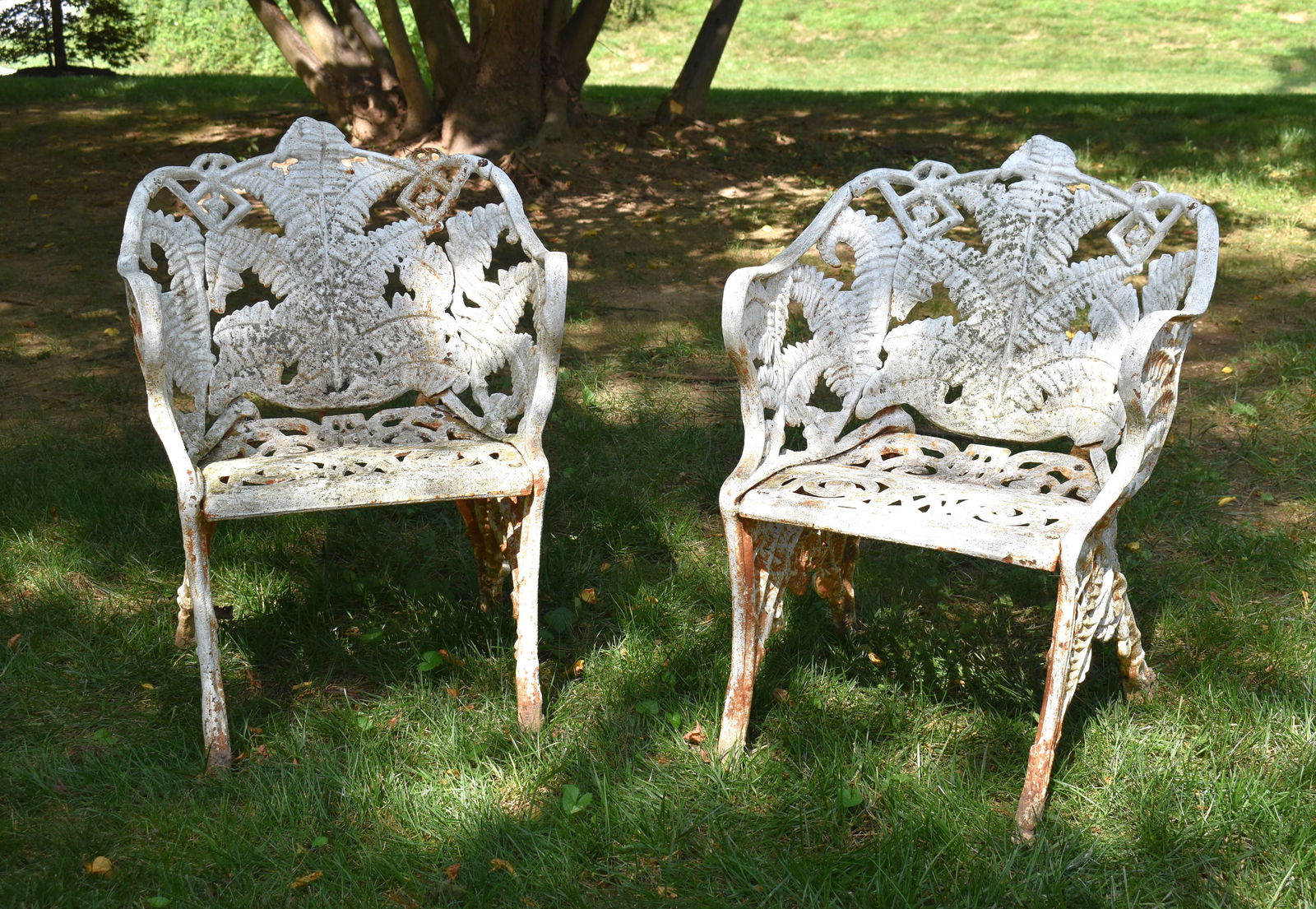 PR OF 19TH CENTURY FERN PATTERN