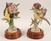 PR OF AMERICAN GOLDFINCHES BY