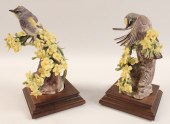 PR OF AUDUBON WARBLERS BY DORO