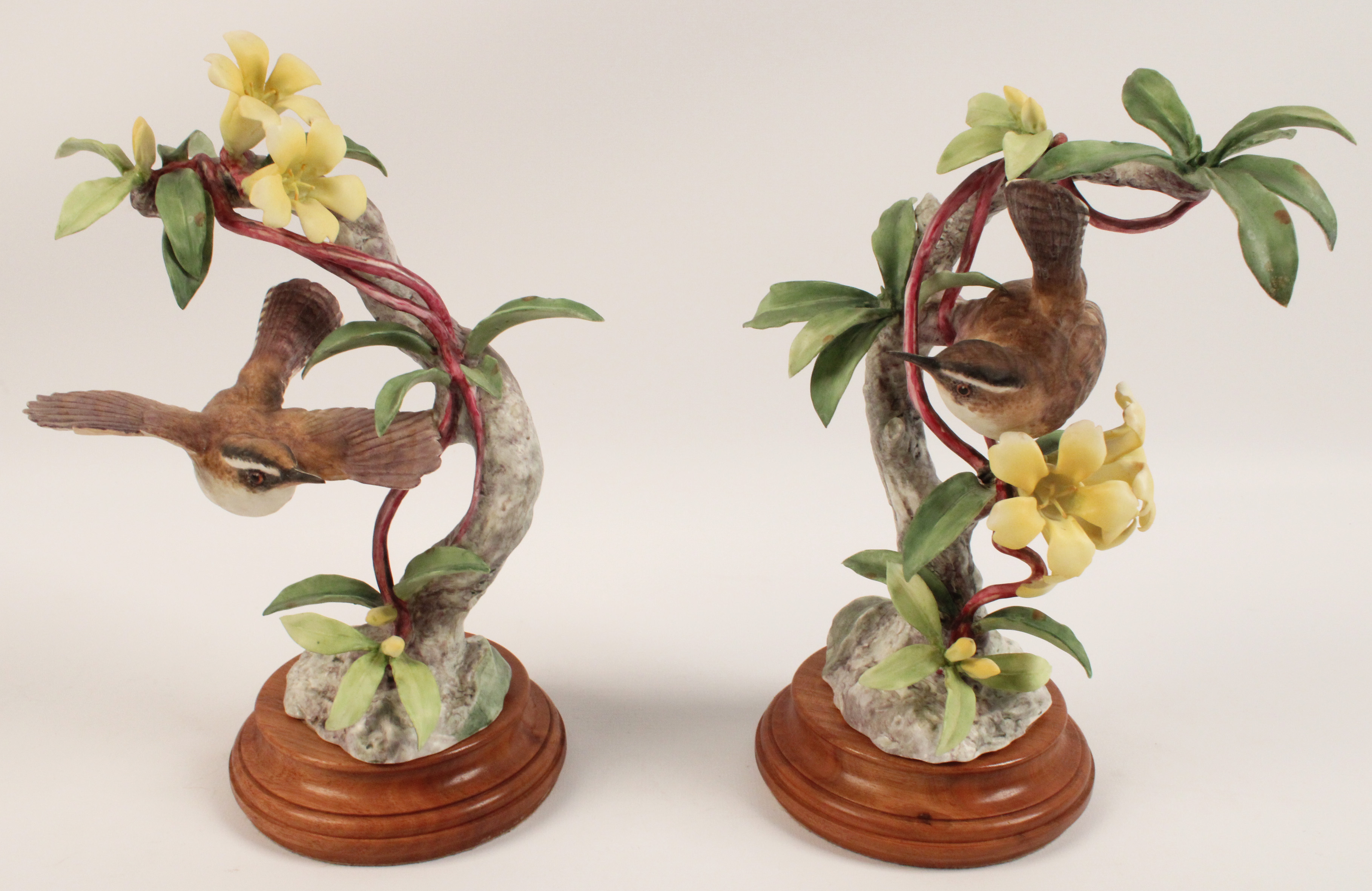 PR OF BEWICKS WREN  BY DOROTHY