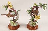 PR OF BEWICKS WREN  BY DOROTHY