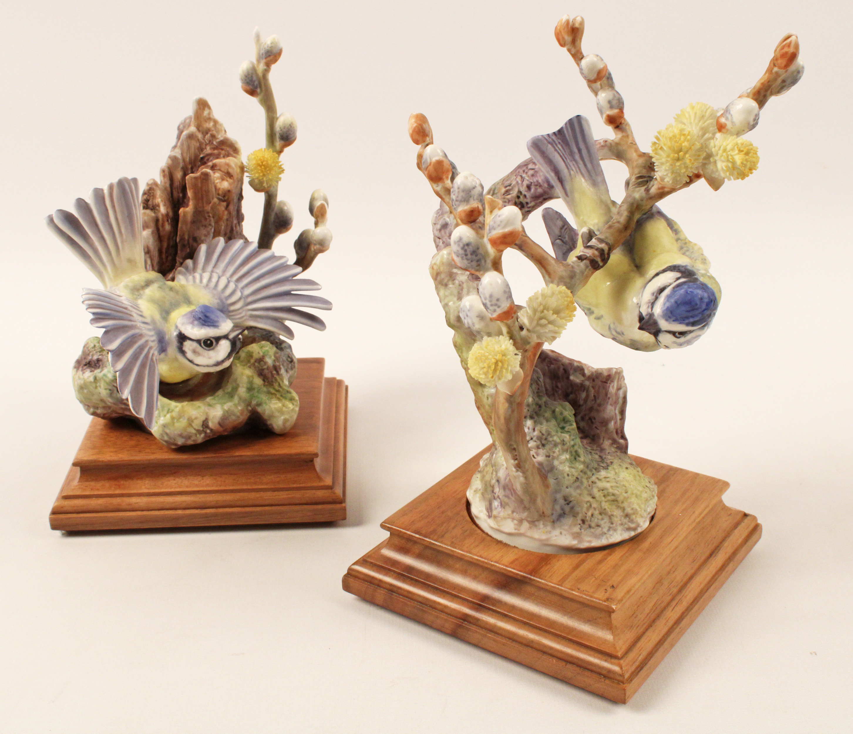 PR OF BLUE TIT AND PUSSY WILLOW