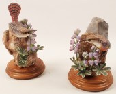 PR OF CANYON WREN PORCELAIN BI