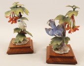 PR OF CERULEAN WARBLER PORCELA