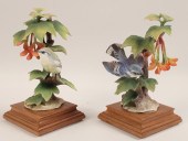 PR OF CERULEAN WARBLERS BY DOR