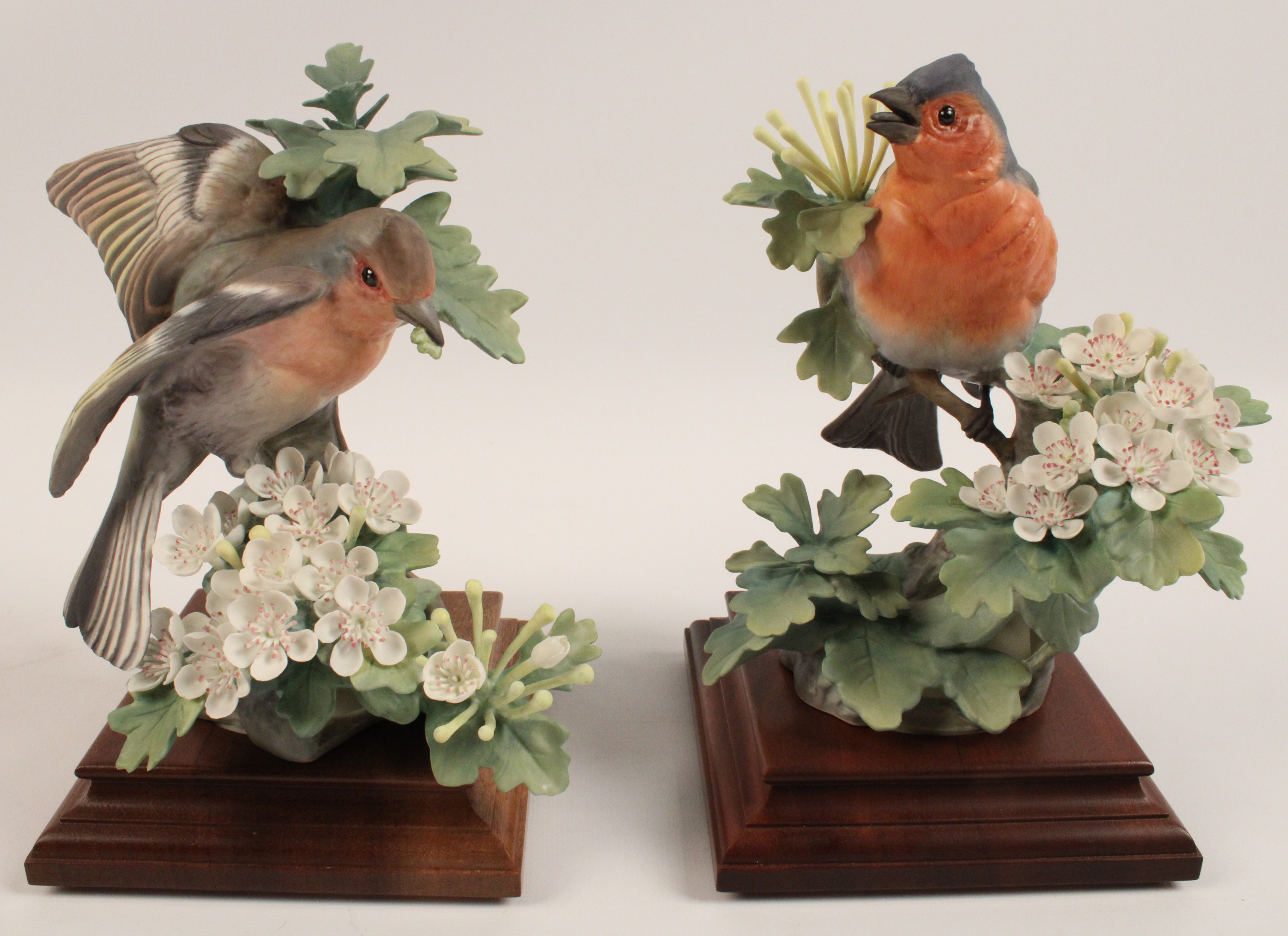 PR OF CHAFFINCH AND MAY BY
