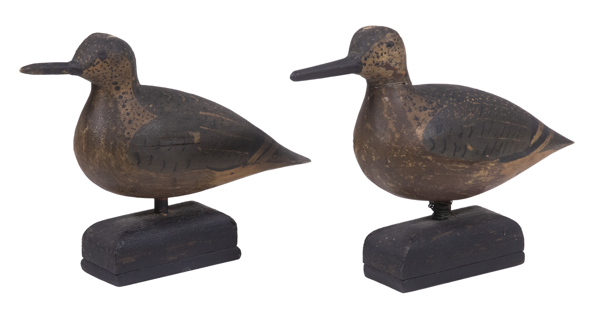 PR OF CHIEF CUFFEE SHORE BIRDS