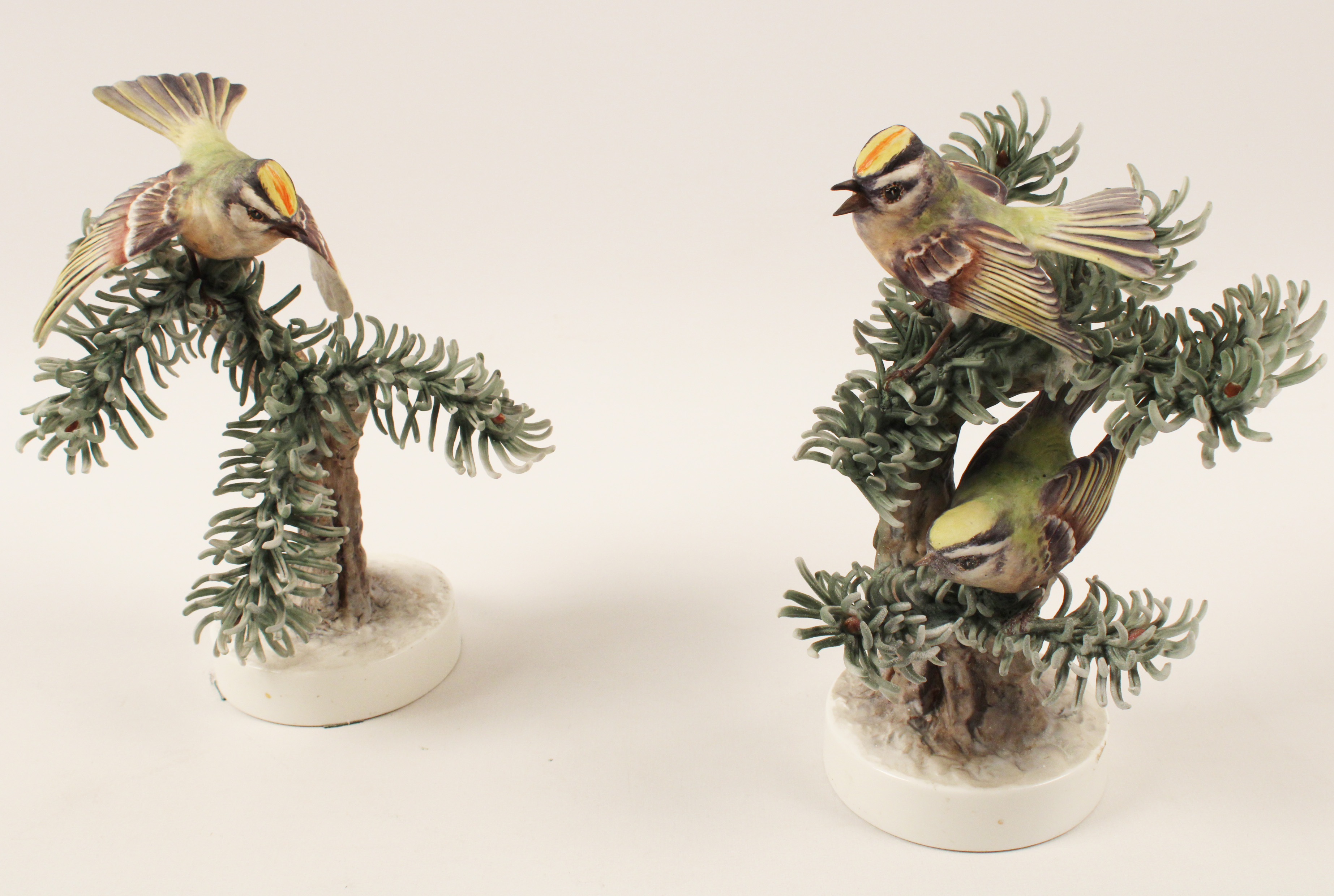 PR OF GOLDEN CROWNED KINGLET