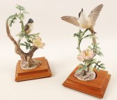 PR OF LESSER WHITE THROAT PORC