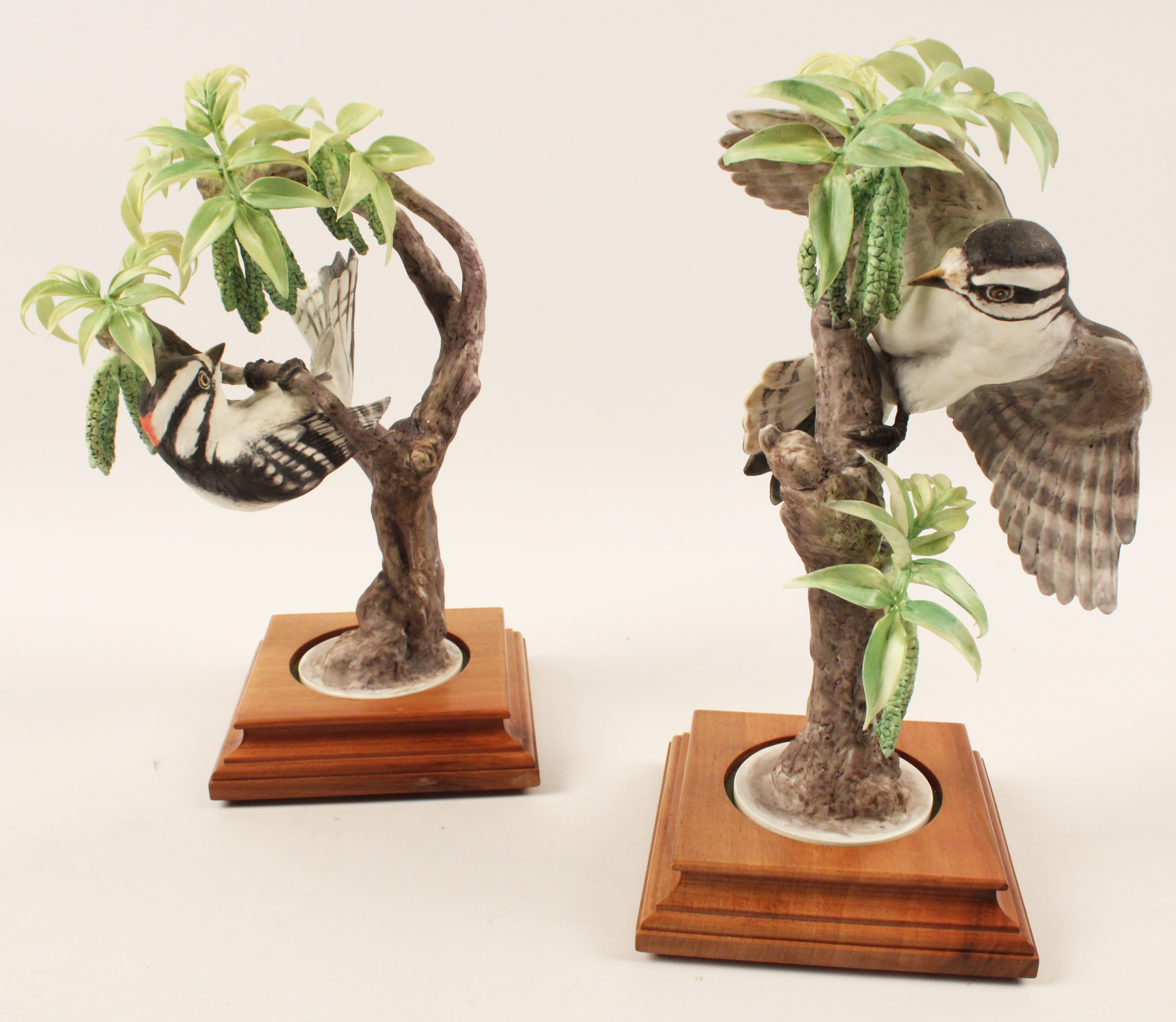 PR OF LITTLE DOWNY WOODPECKERS