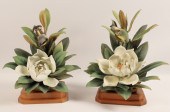 PR OF MAGNOLIA WARBLERS BY DOR