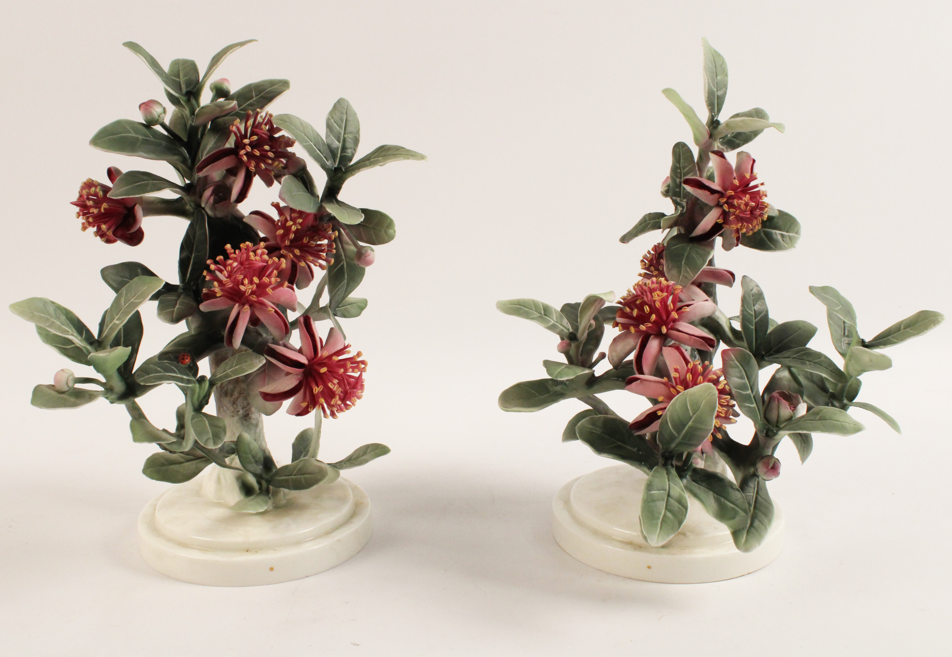 PR OF MEXICAN FEIJOA AND LADYBIRD