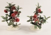 PR OF MEXICAN FEIJOA AND LADYB