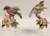 PR OF MODELS OF BLUEBIRDS BY D