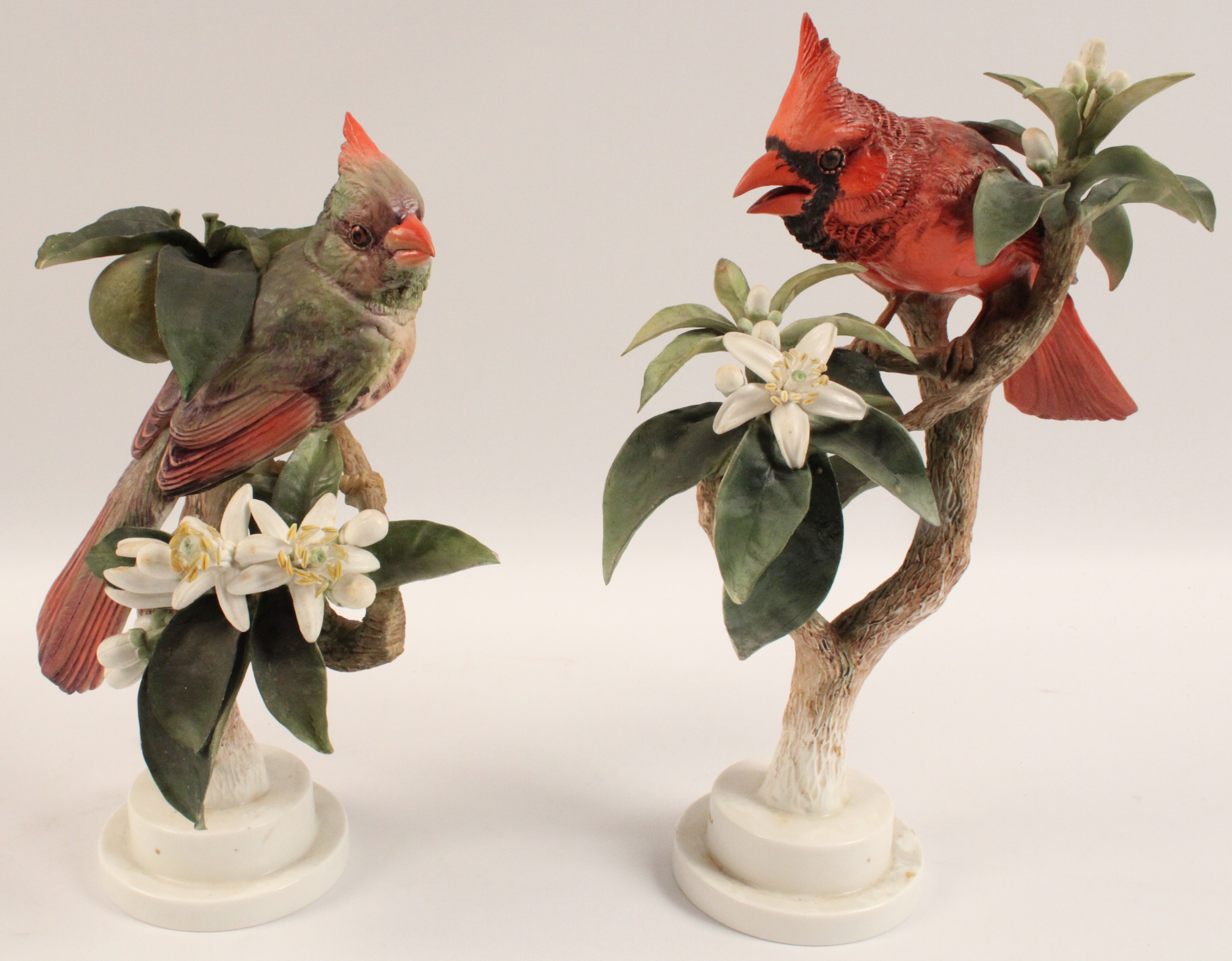 PR OF RED CARDINALS BY DOROTHY