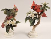 PR OF RED CARDINALS BY DOROTHY