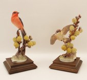 PR OF VERMILION FLYCATCHERS PA