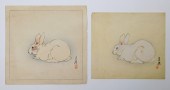 PR OGATA GEKKO WHITE RABBIT WO