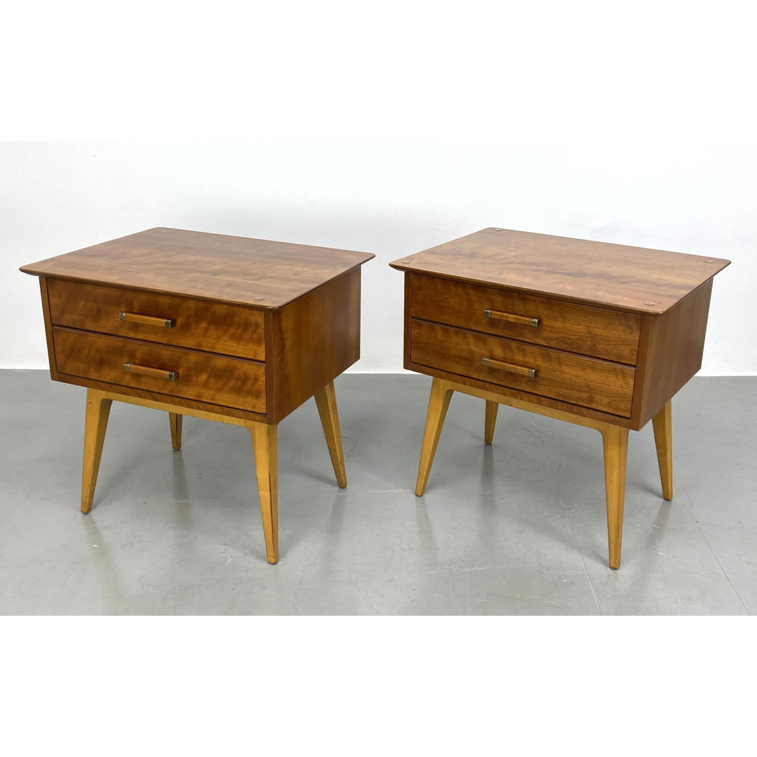 Pr RENZO RUTILI for JOHNSON