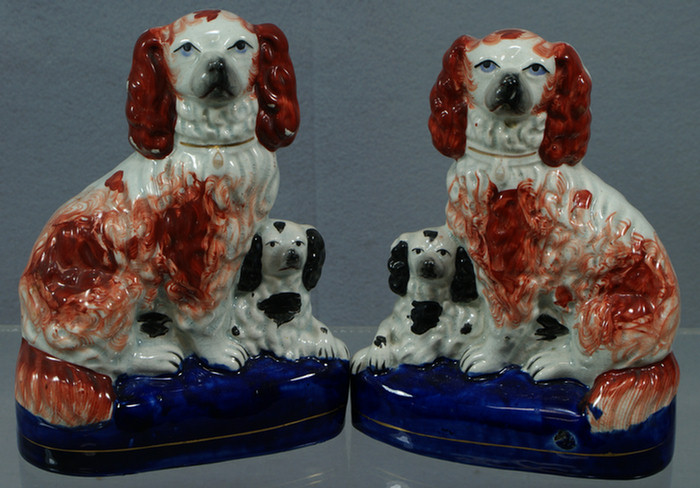 Pr Staffordshire double spaniel