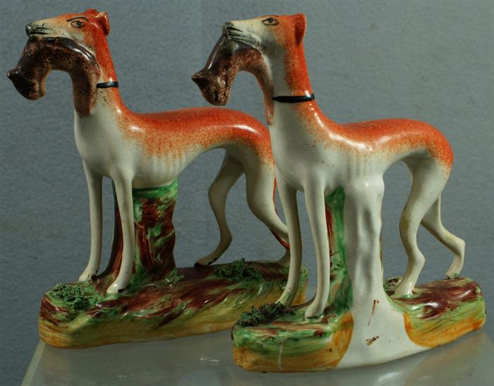 Pr Staffordshire greyhounds with