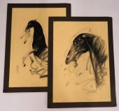 PR SUNIL DAS HORSE CHARCOAL DR