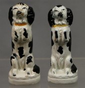 Pr white and black Staffordshi