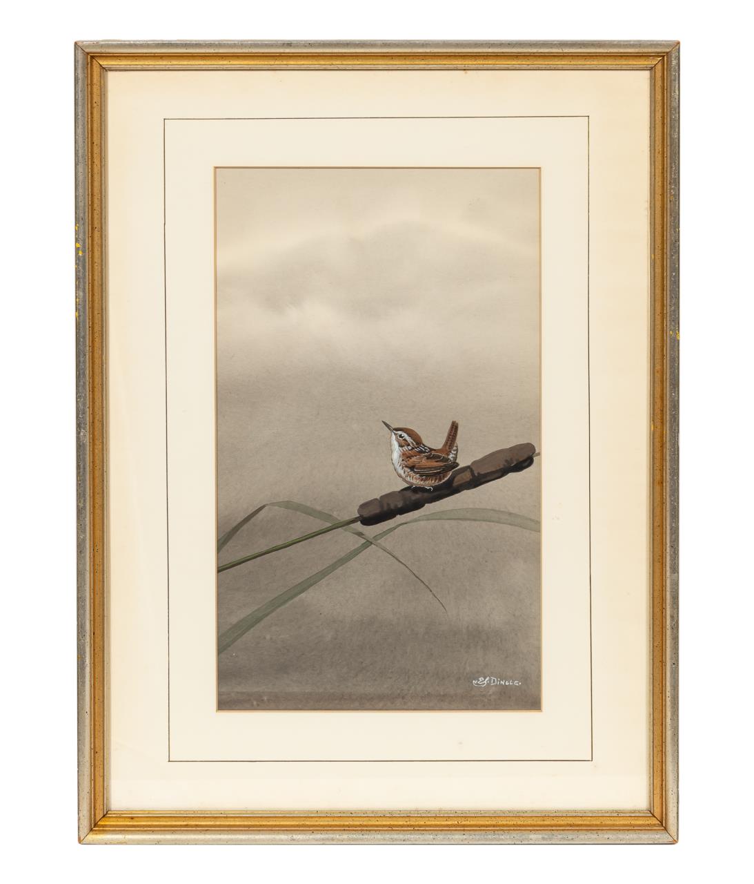 PRAIRIE MARSH WREN, EDWARD VS