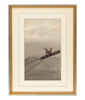 PRAIRIE MARSH WREN, EDWARD VS