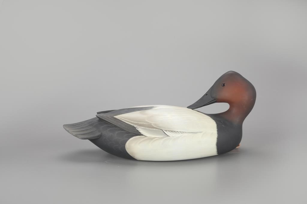 PREENING CANVASBACKGeorge Strunk